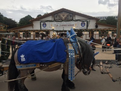 Nirina Plunkett Cookie FM Oktoberfest Munich