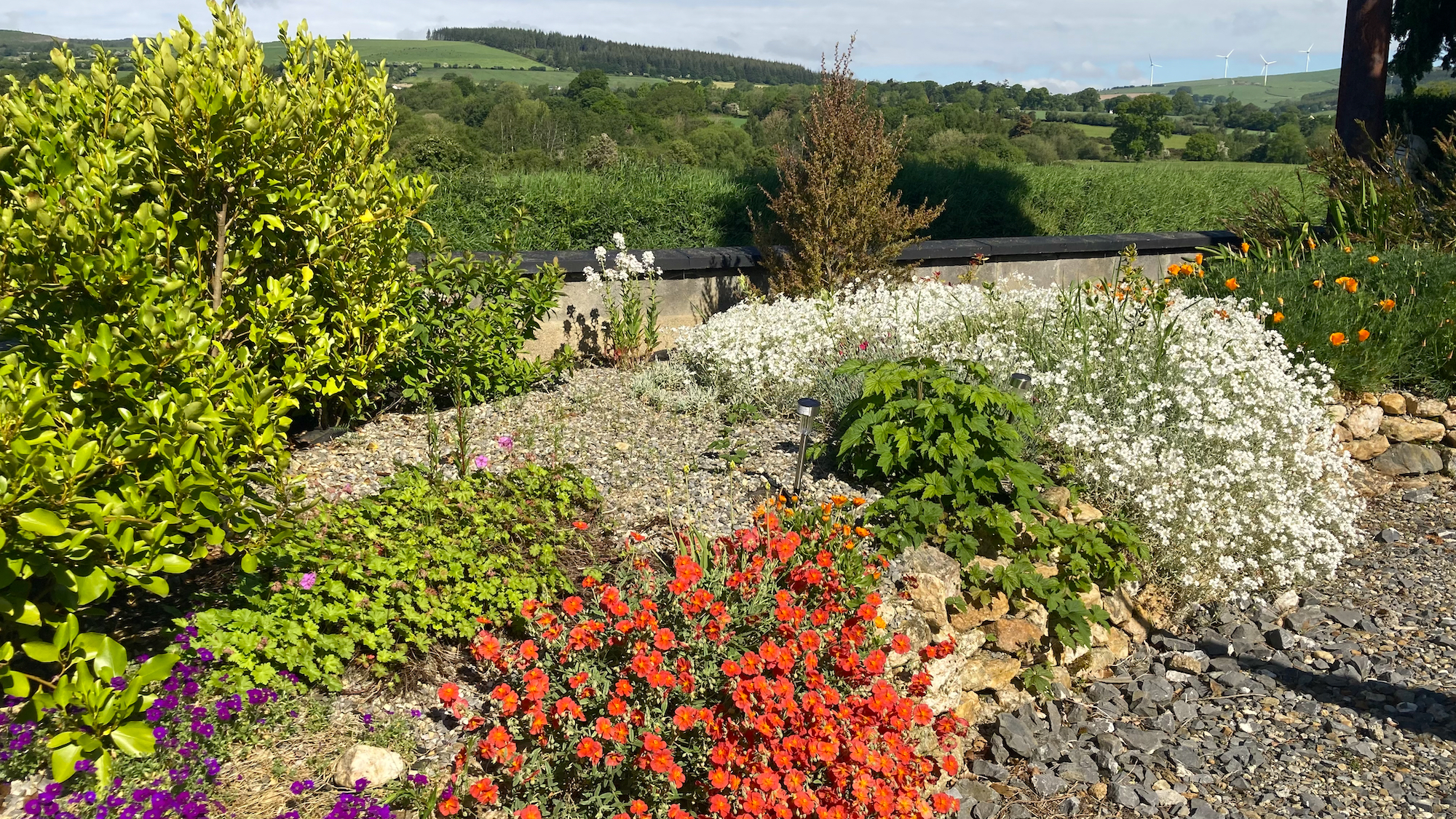 Airbnb Shillelagh Wicklow Cookie FM Nirina-6