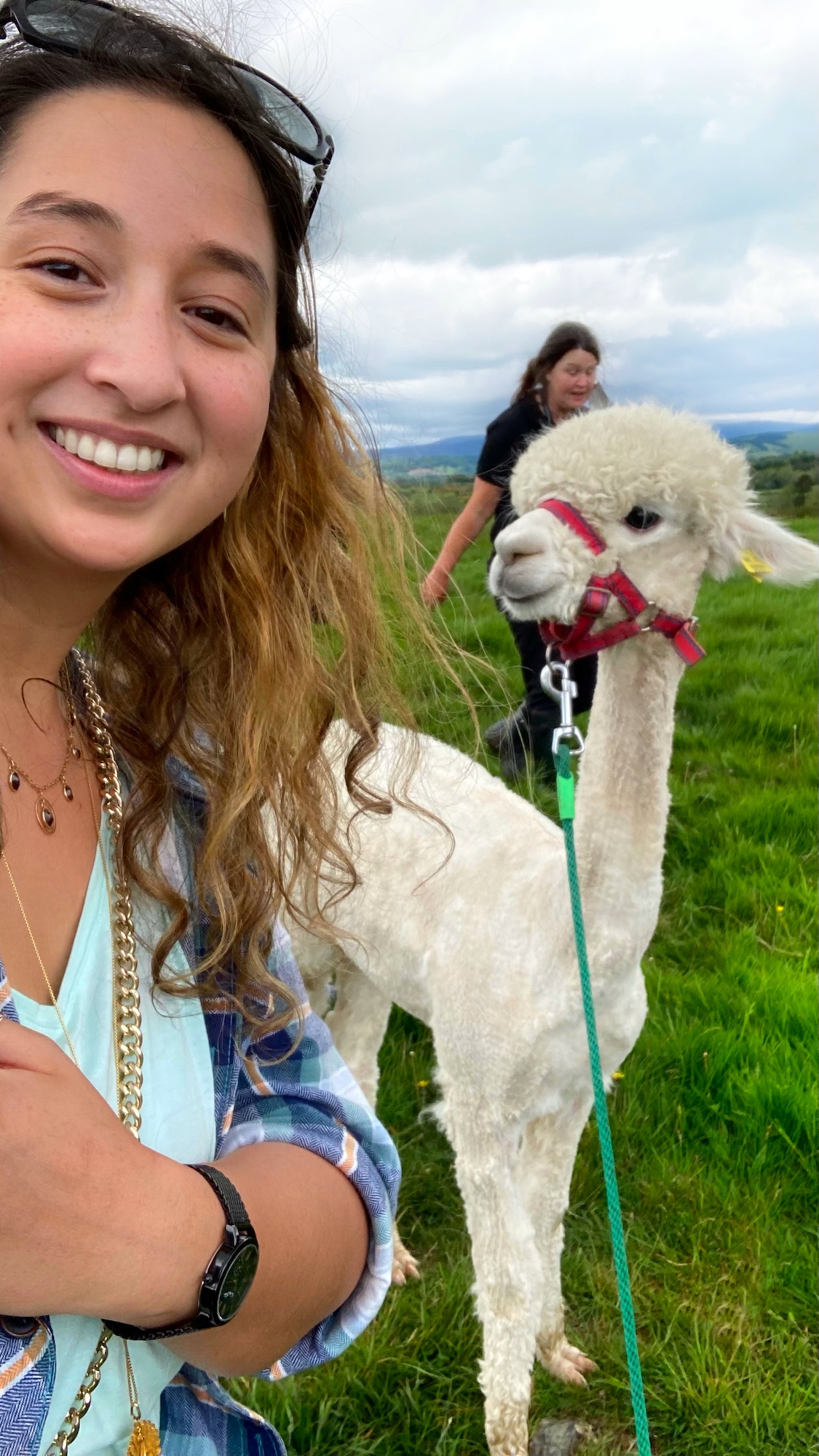 K2 Alpacas Wicklow Cookie FM Nirina-4