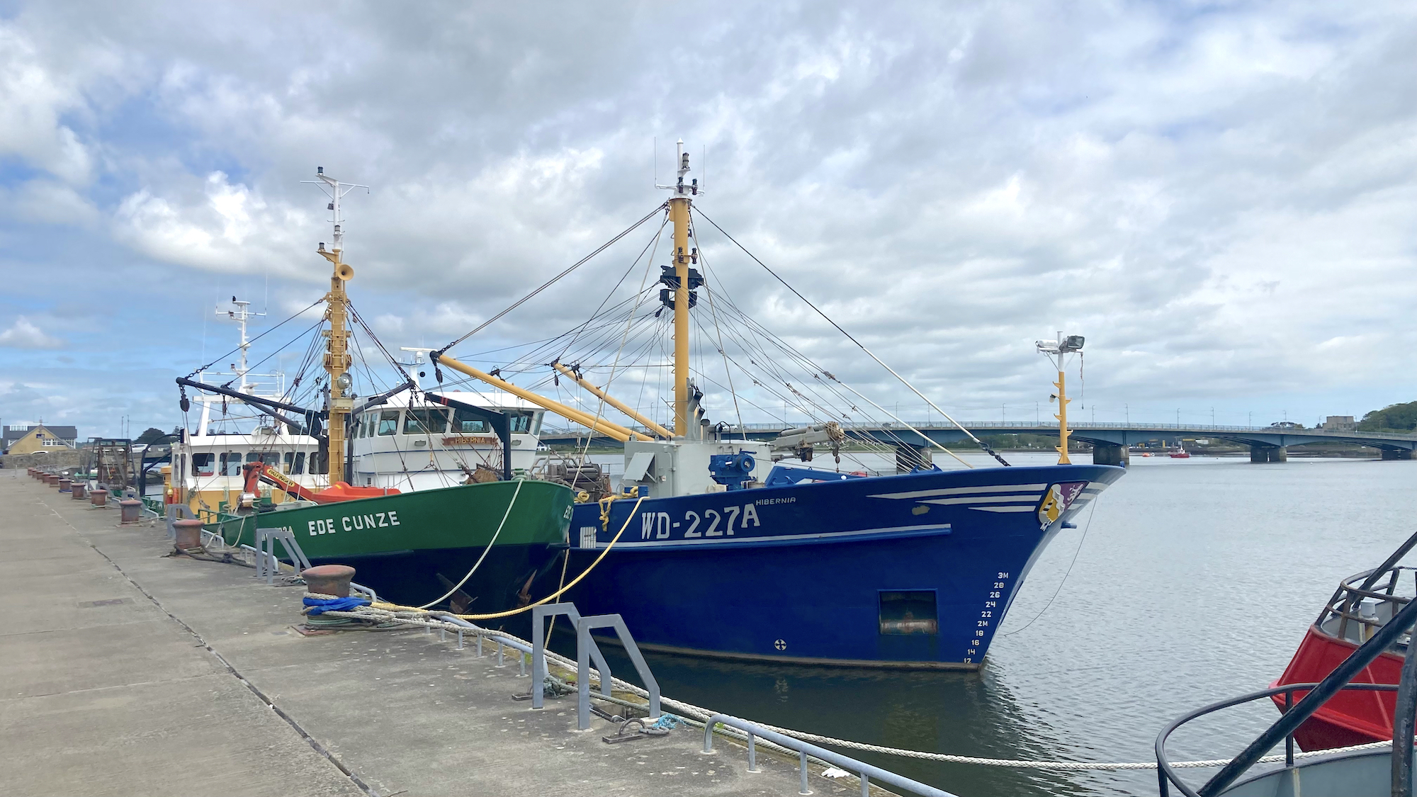 Wexford Town Cookie FM Nirina-5